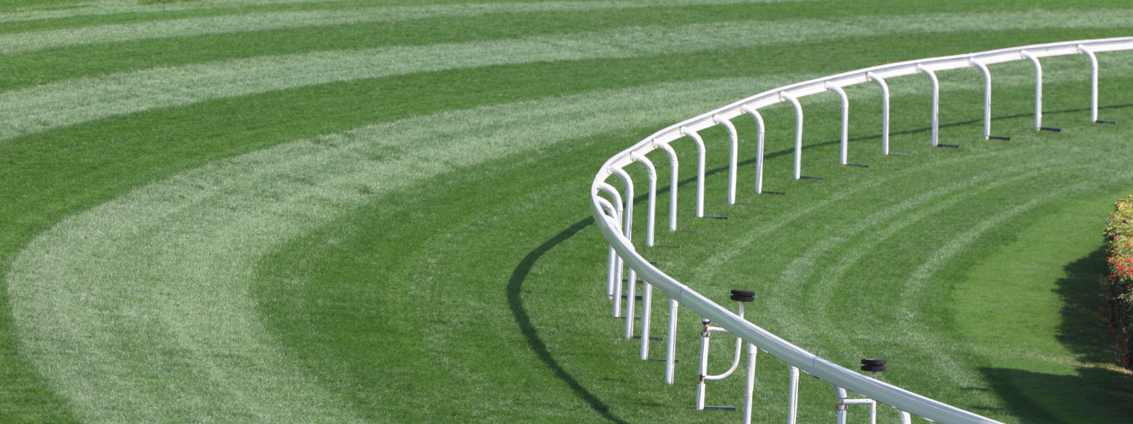 Why Racecourses Rely on High-Accuracy Weather Data to Maintain Track Safety