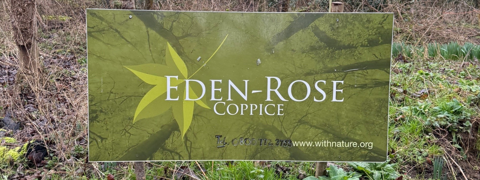 Skyview partners with Eden-Rose Coppice to enhance the restorative power of nature