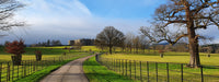 Preserving iconic landmarks with the National Trust