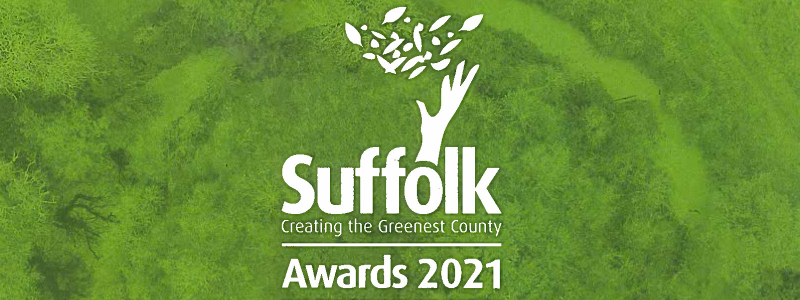Skyview triumphs at Greenest County Awards for carbon reduction efforts